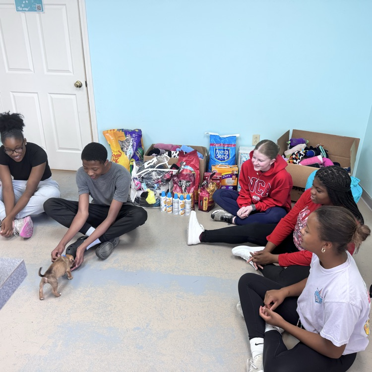 animal shelter