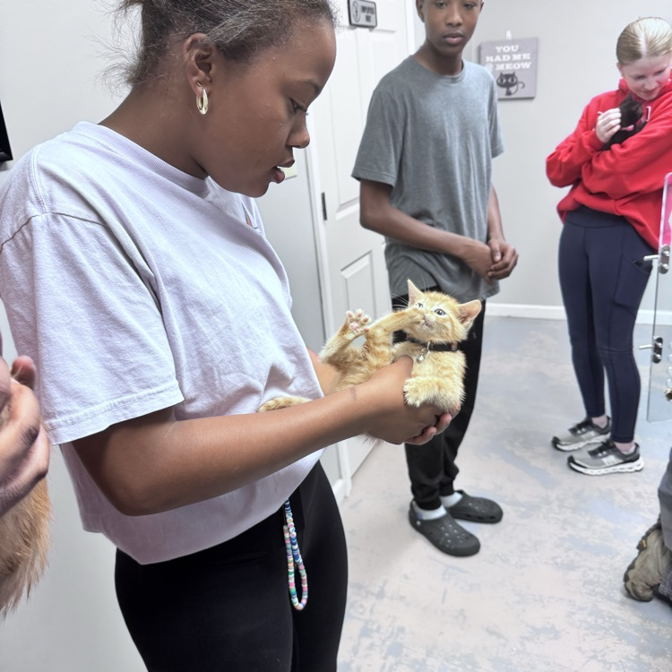 animal shelter