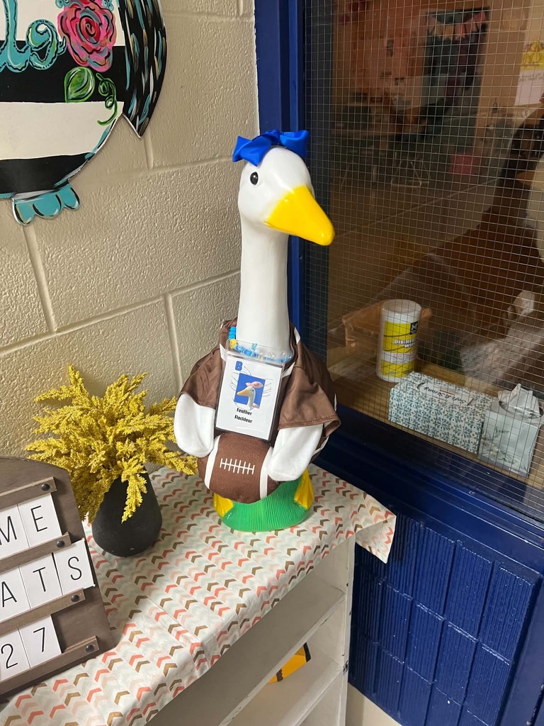 Feather Flocklear