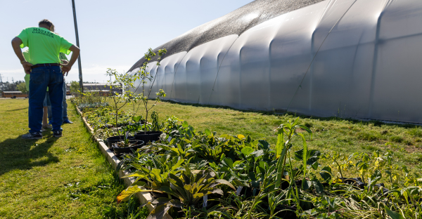 Hoop House