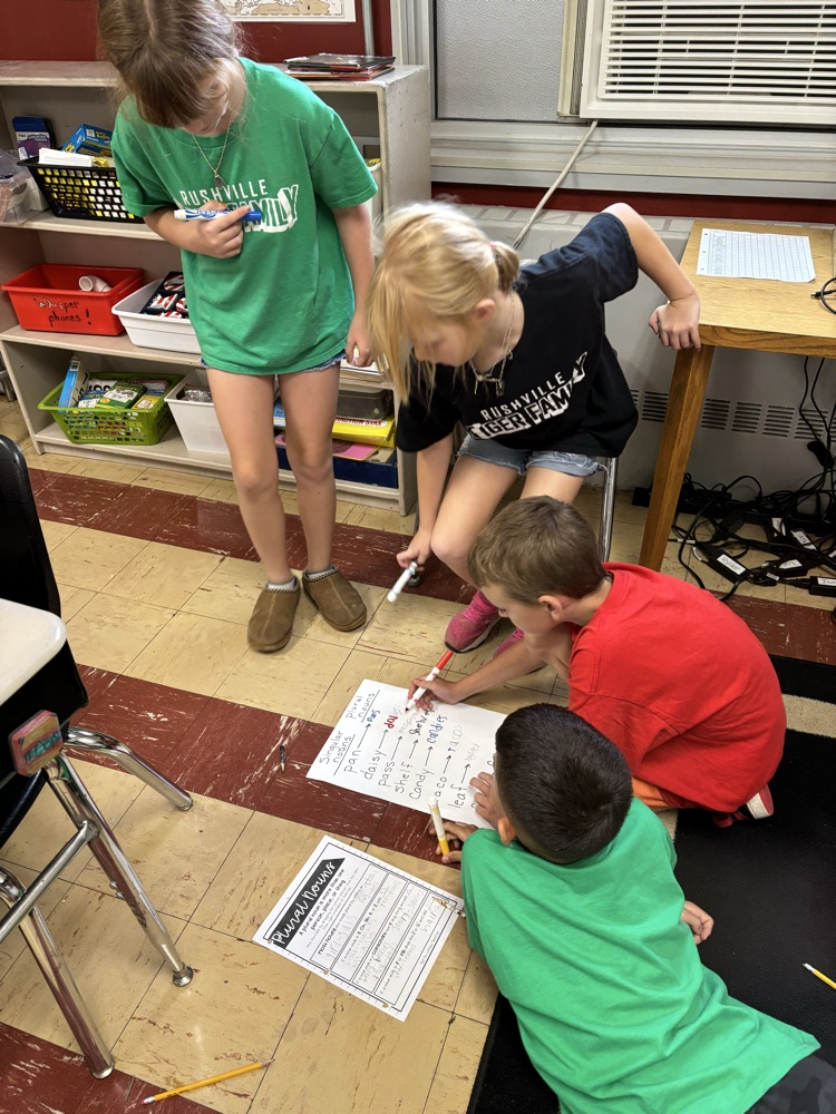 Third graders learning how to write plural nouns.