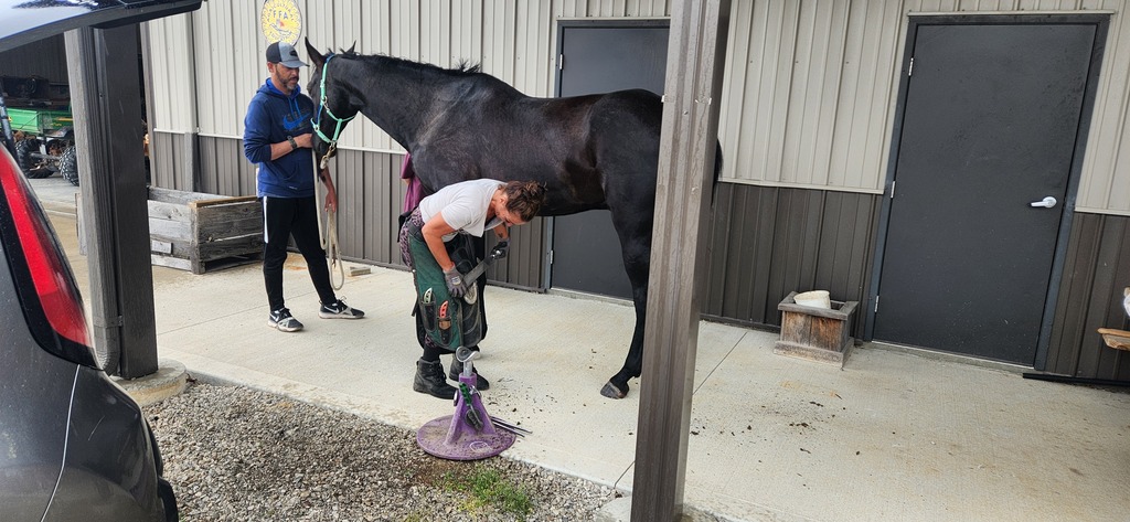 Farrier