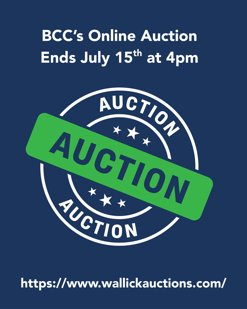auction