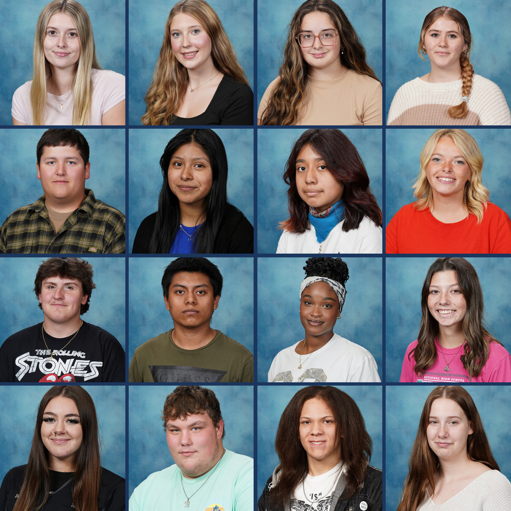 Credential Post Grid 11