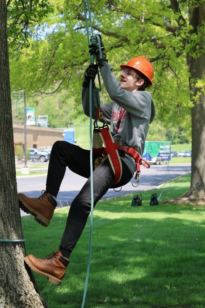 natural resources climbing trees