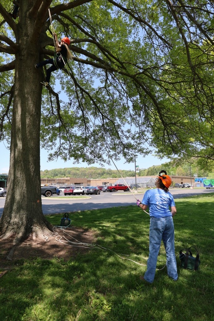 natural resources climbing trees