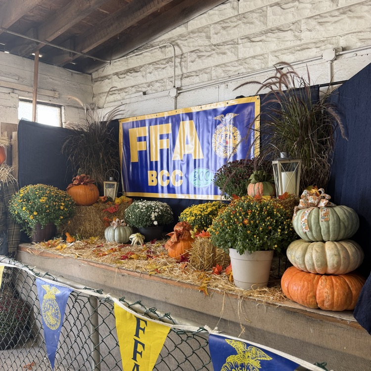 ffa