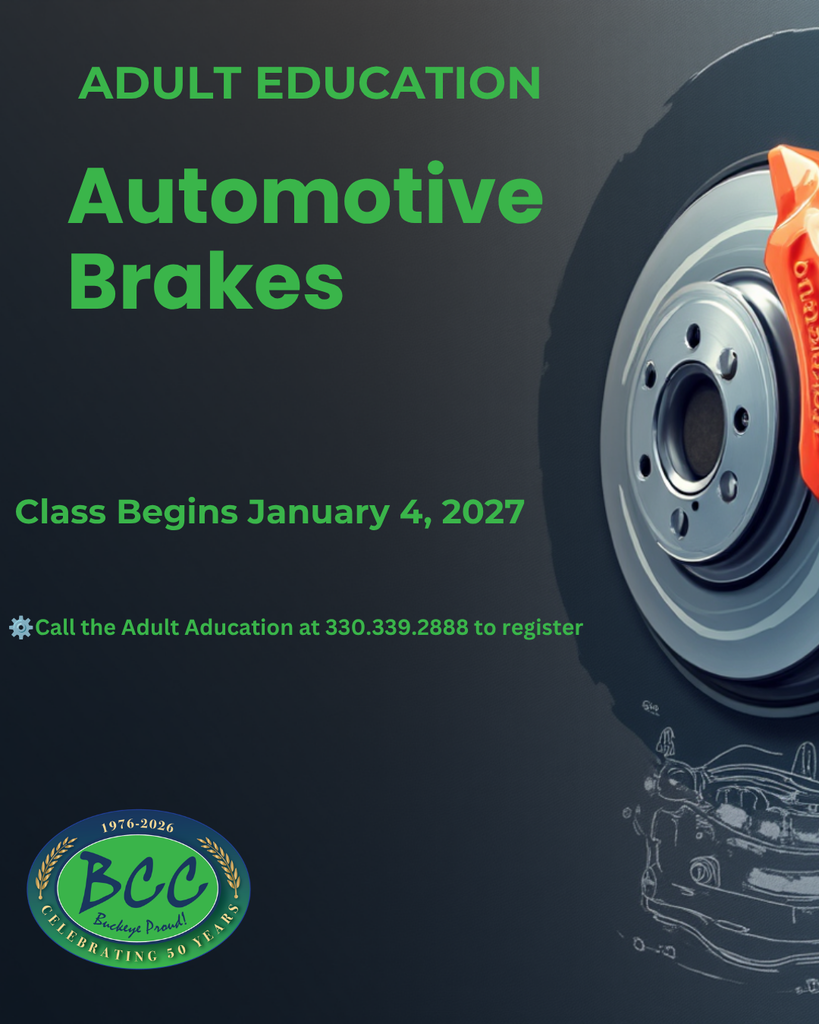Automotive Brakes