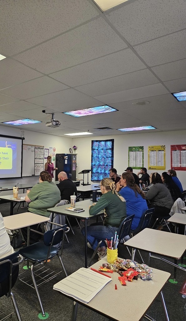 professional development