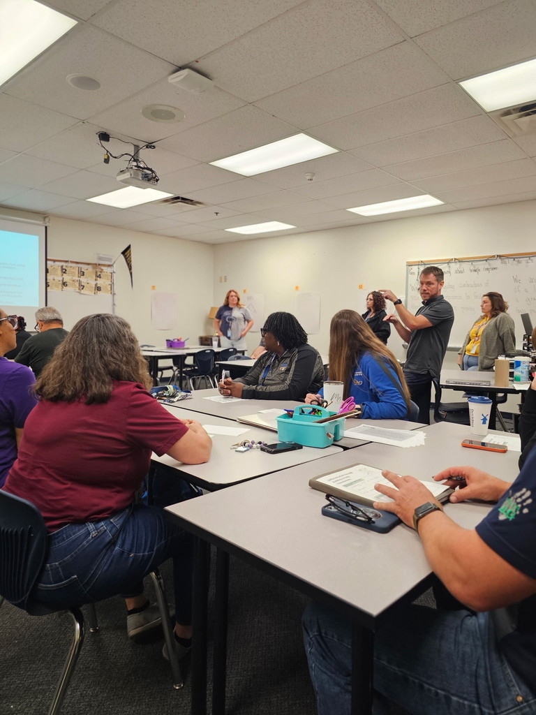 professional development