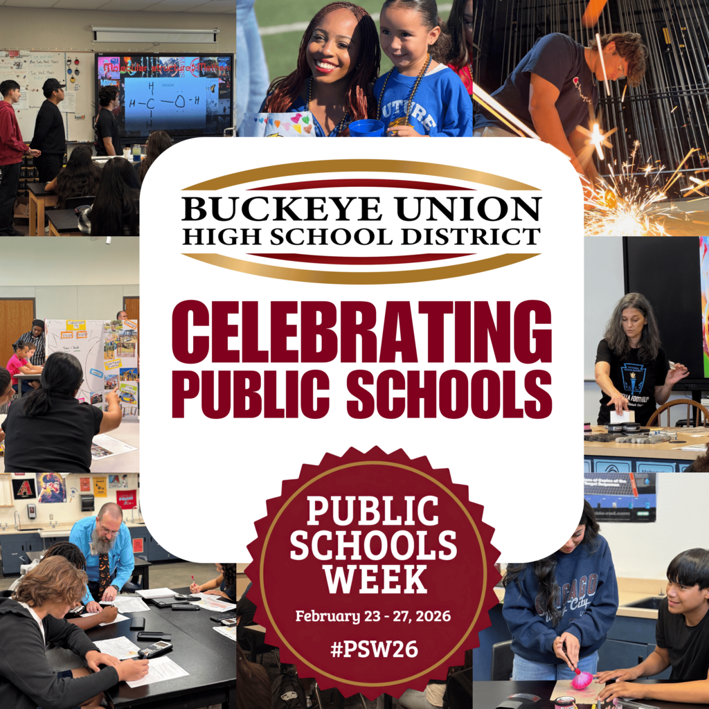 public schools graphic