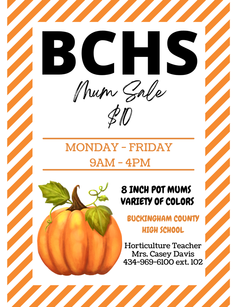 Mum Sale Flyer