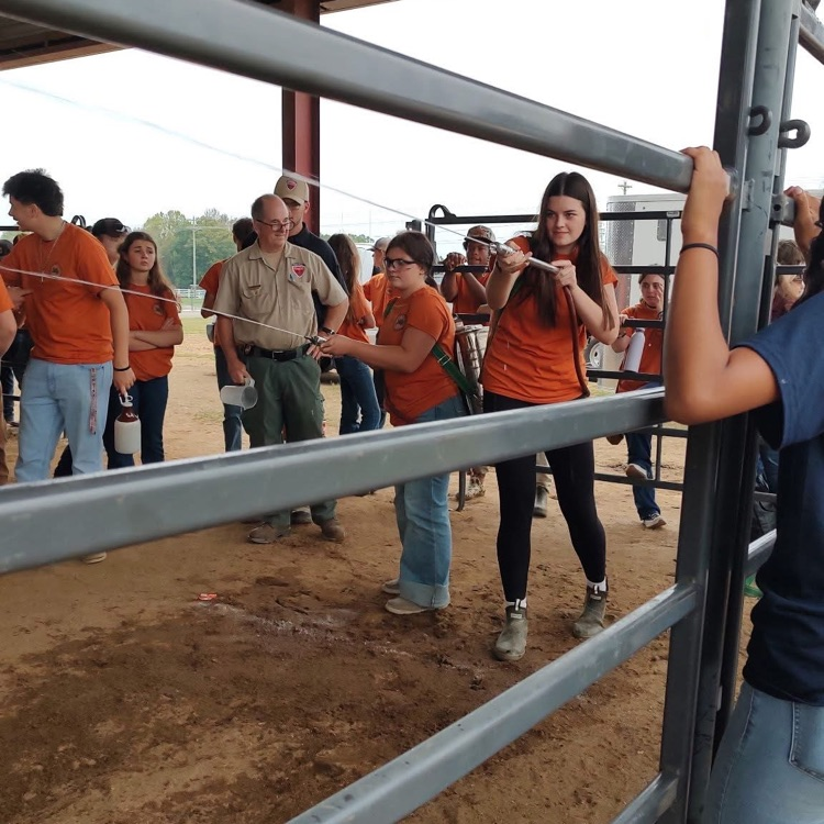 FFA Forestry
