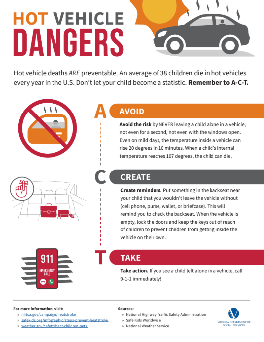 Hot Vehicle Dangers Infographic