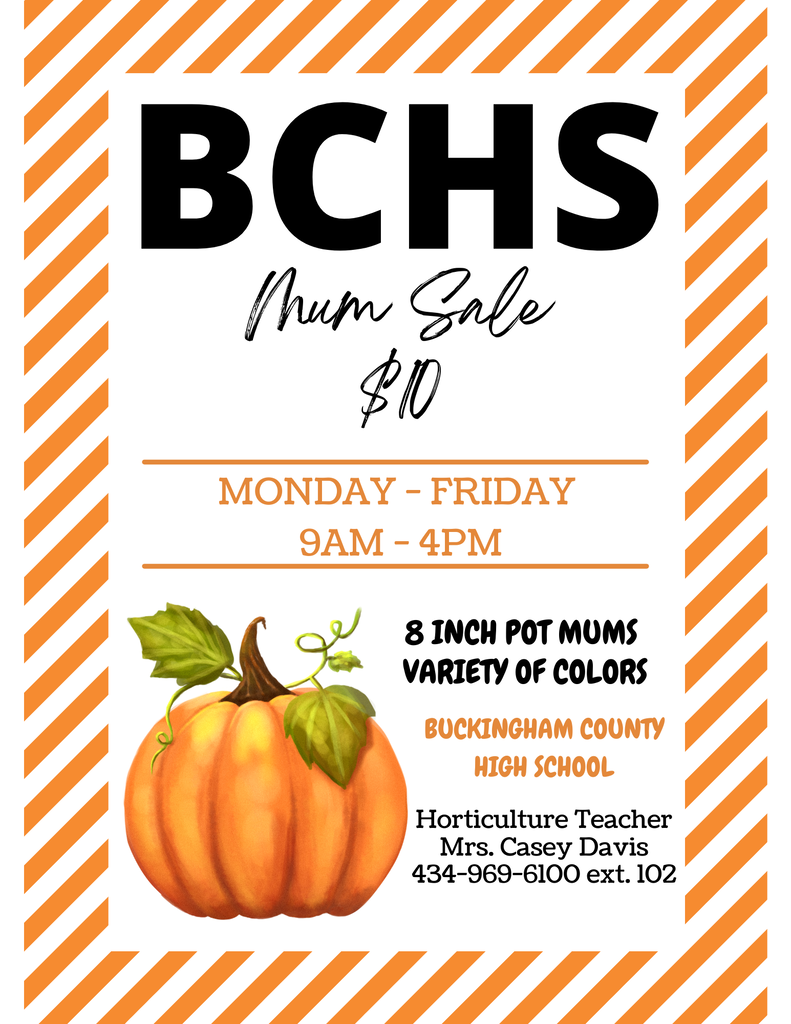 BCHS Mum Sale Flyer - M-F 9AM-4PM - $10 - All information in the flyer is in the text of the post