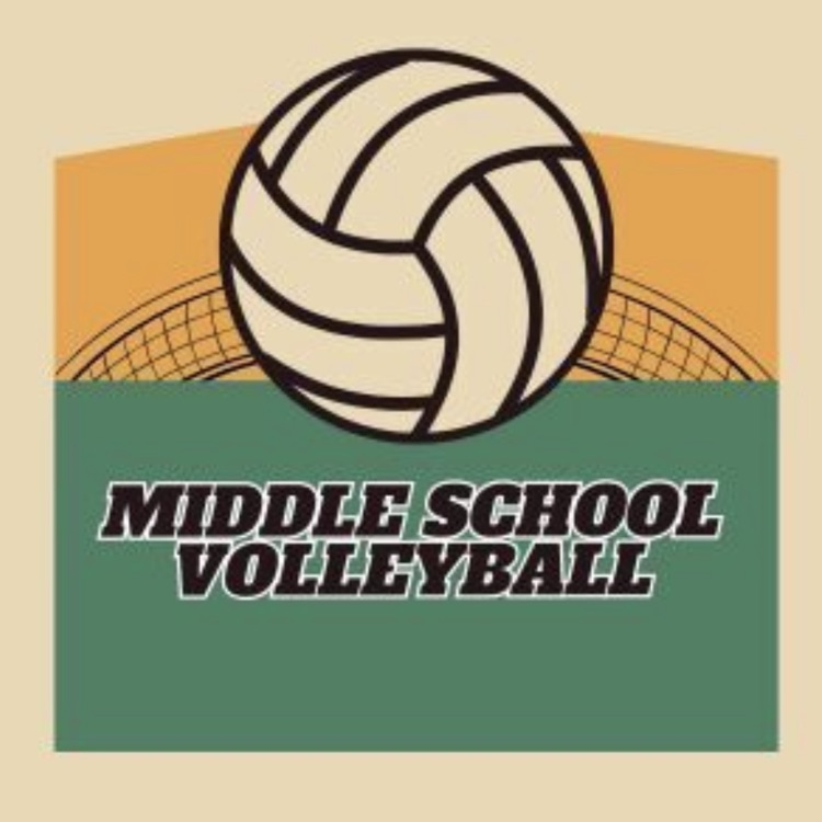 middle school volleyball image 