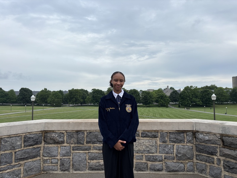 Employment Skills: Cadence Perkins