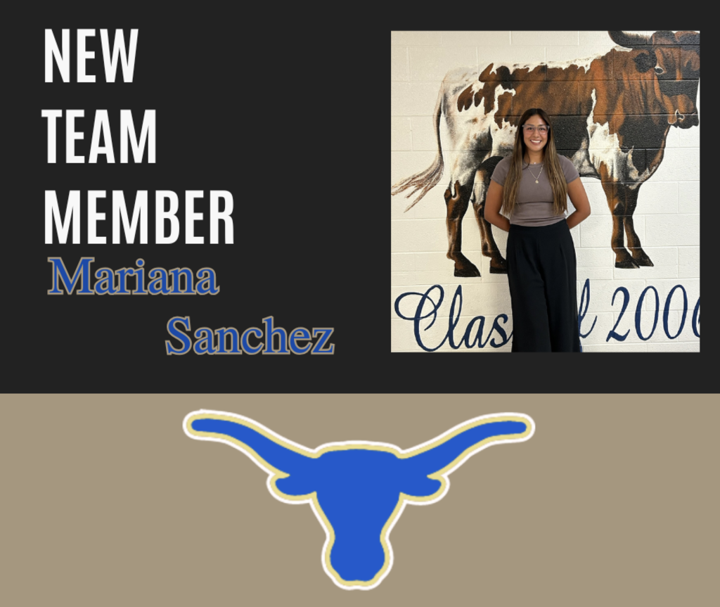 Screenshot 2025-07-08 at 10