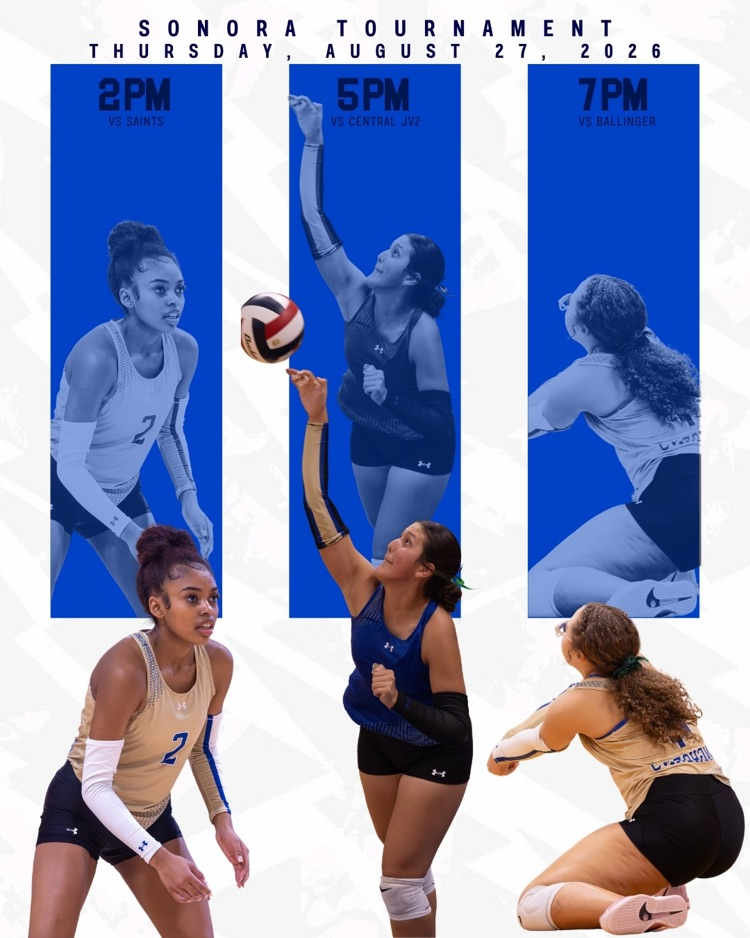 vb