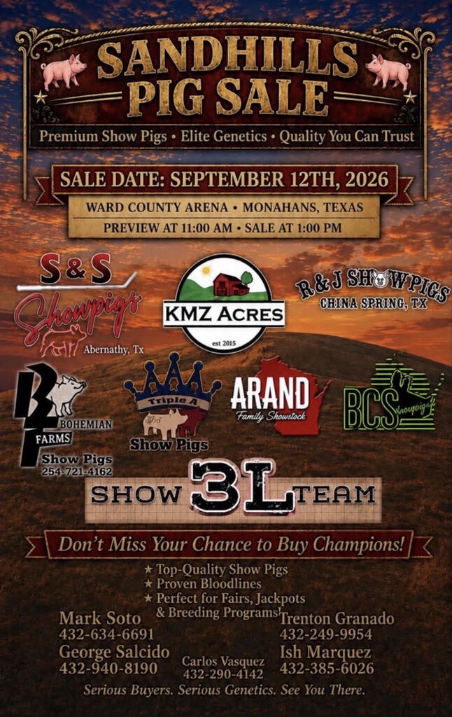 pig sale