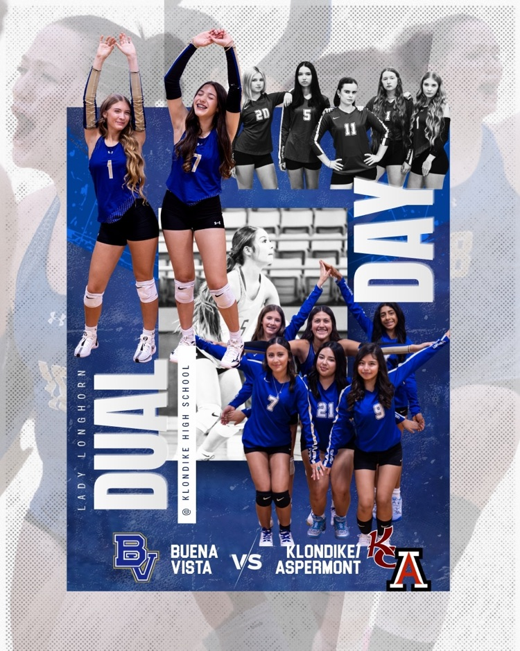 vb