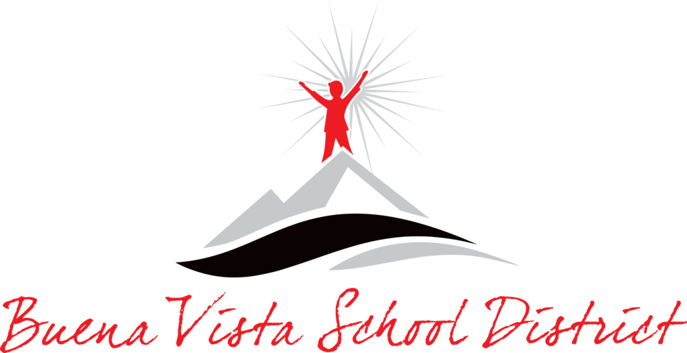 bv schools logo