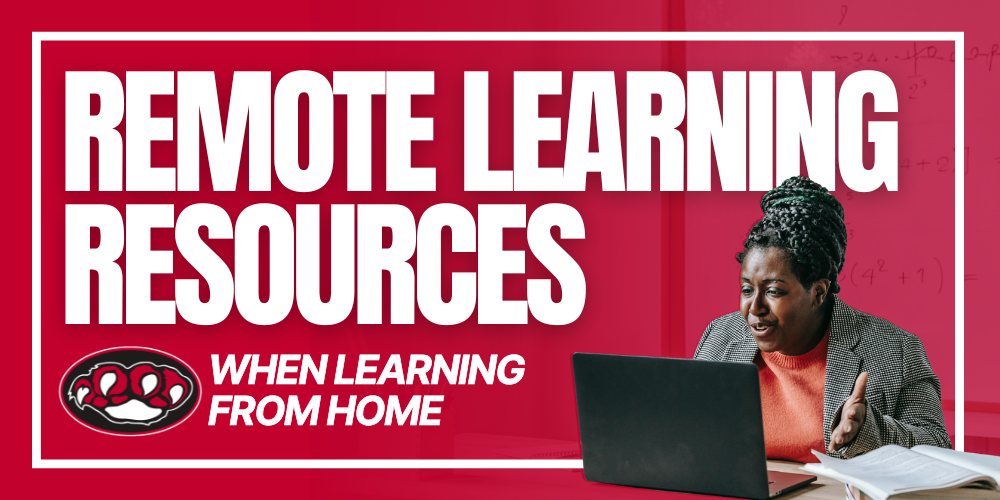 Remote Instruction Information a picture of a teacher teaching from a laptop