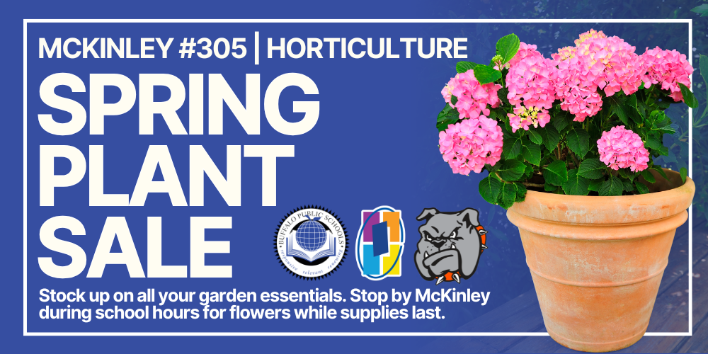 Promotional graphic for “McKinley #305 Horticulture Spring Plant Sale,” featuring large white text on a blue background beside a terracotta pot of pink flowering plants. Includes Buffalo Public Schools and bulldog logos and notes that plants are available during school hours while supplies last.