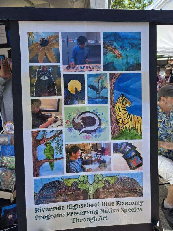 “Display board titled ‘Riverside High School Blue Economy Program: Preserving Native Species Through Art,’ featuring a collage of student artwork including animals, plants, and nature-themed paintings alongside photos of students working.”
