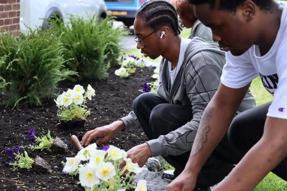 “Students working together to plant flowers in a soil bed, with multiple small plants arranged in rows and greenery surrounding the area.”