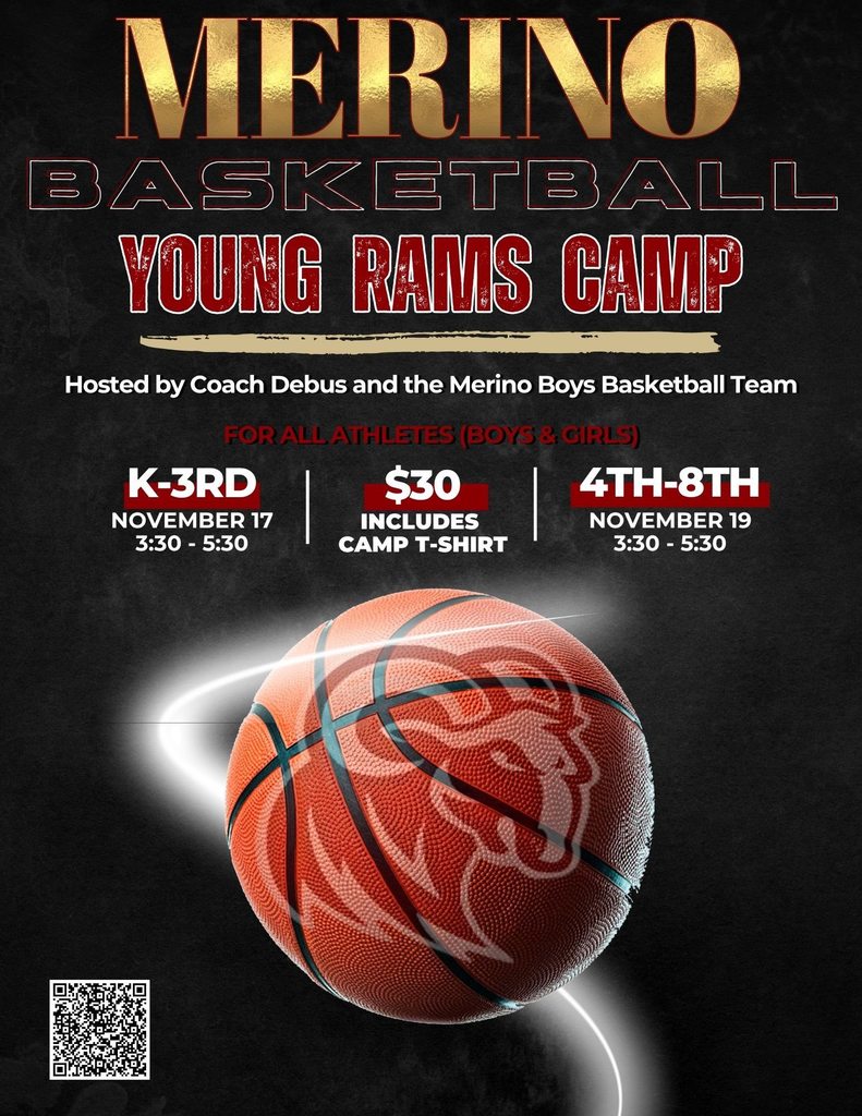 Basketball Camp