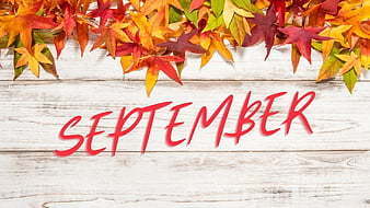 September Menus