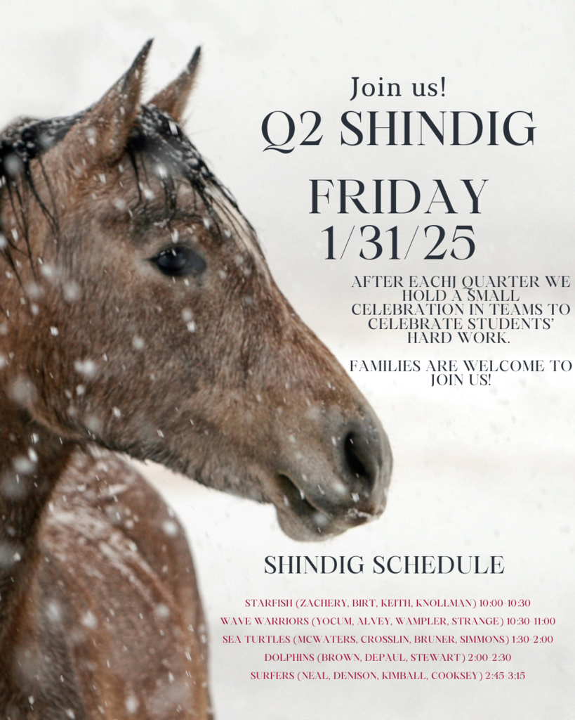 shindig