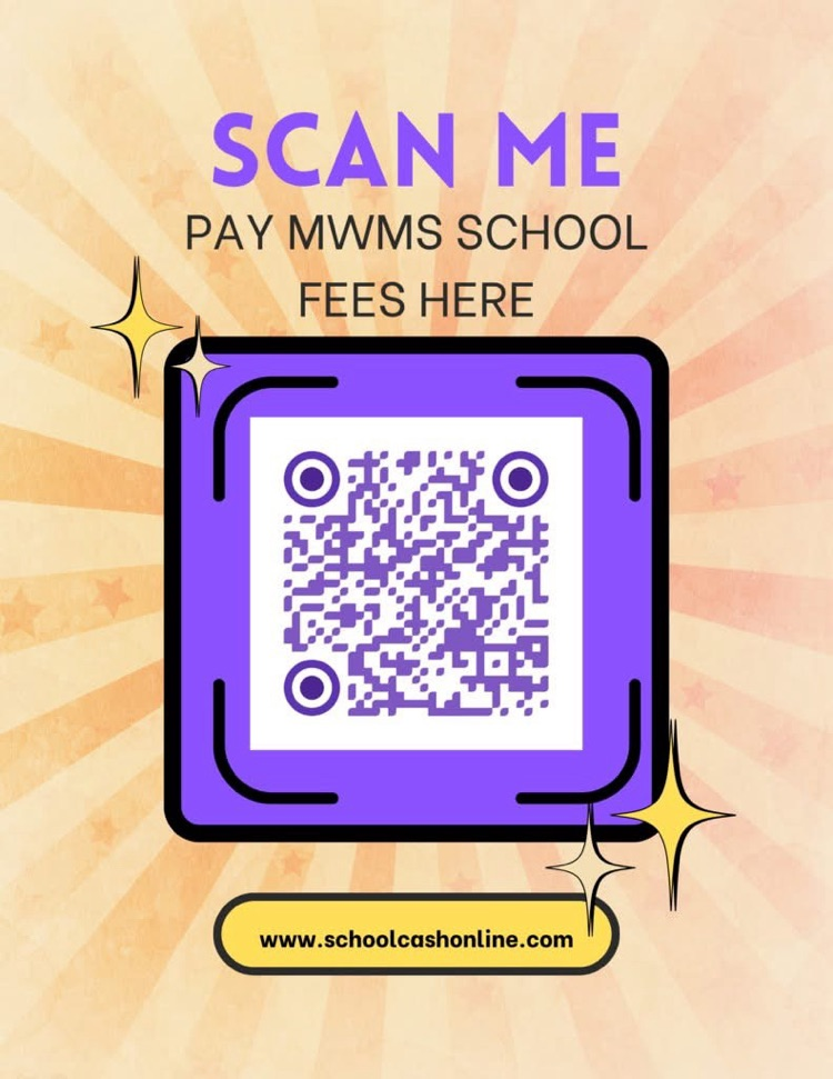 Online payment information
