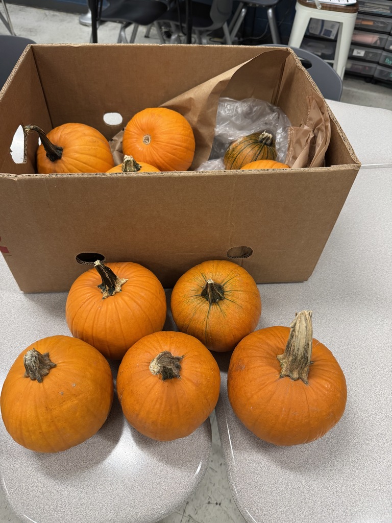 MWMS Staff Pumpkin Donation