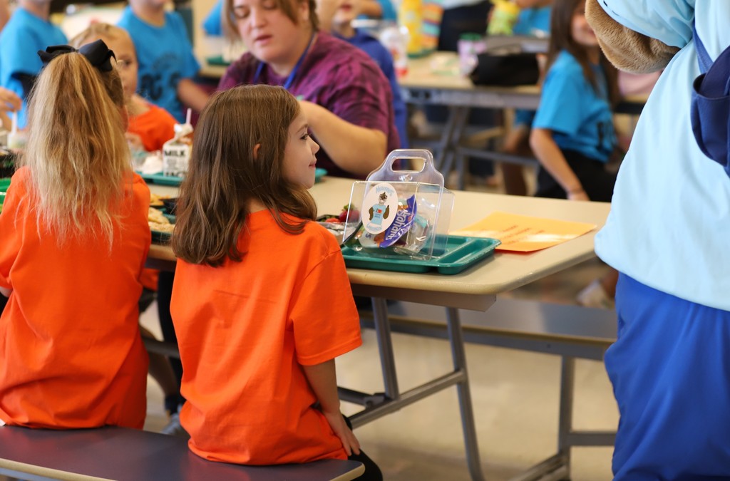 Mealton Meal Box at Lunch