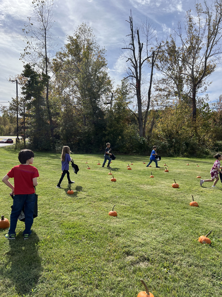 Second grade picking pumpkins