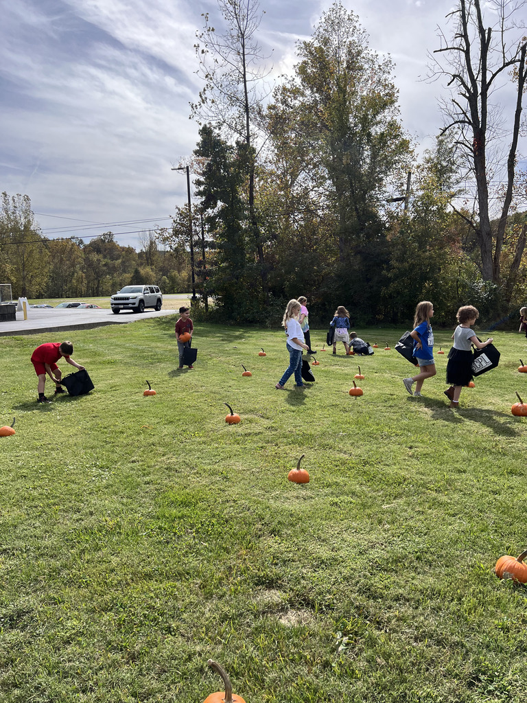 Third grade picking pumpkins