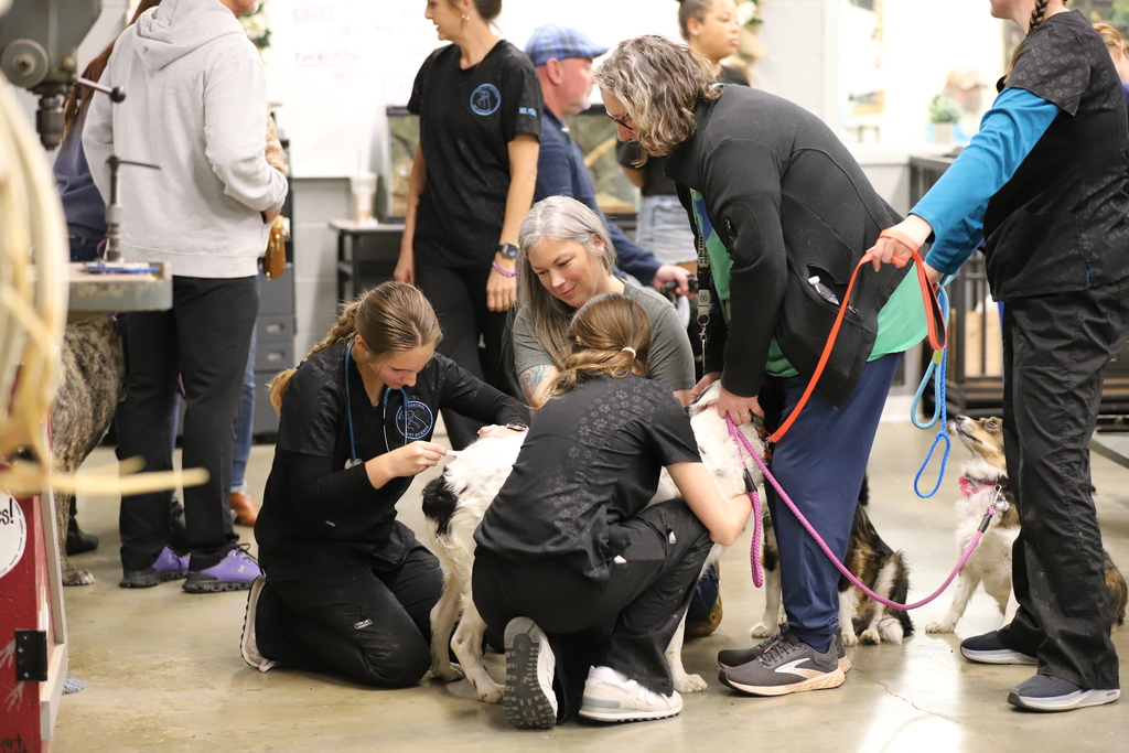 Students with Vet Tech