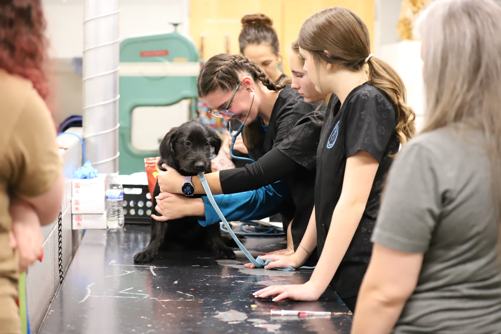 Vet students with dog