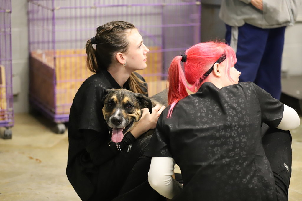 Students Holding a dog