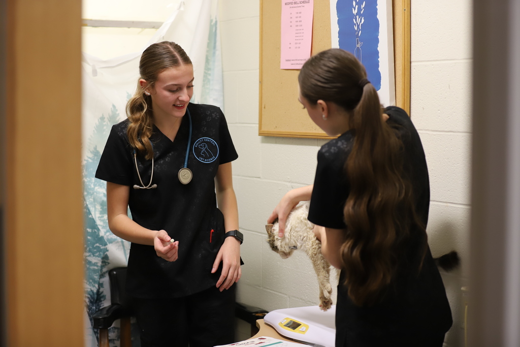 Students Assisting a Cat 