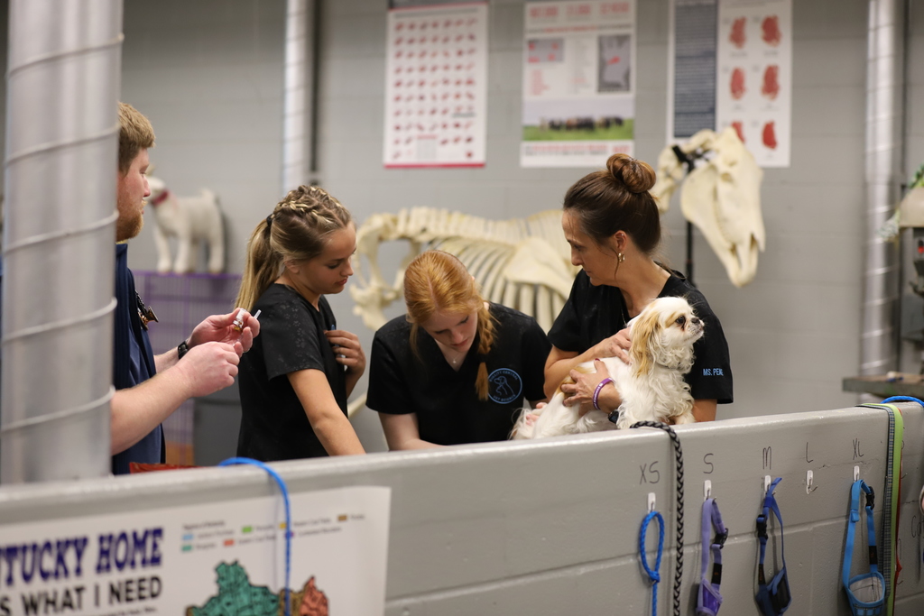 Students and teacher tending to a dog