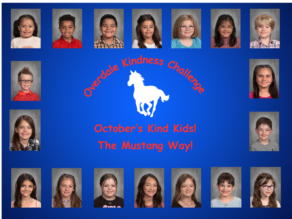 Overdale Kindness Challenge (17)