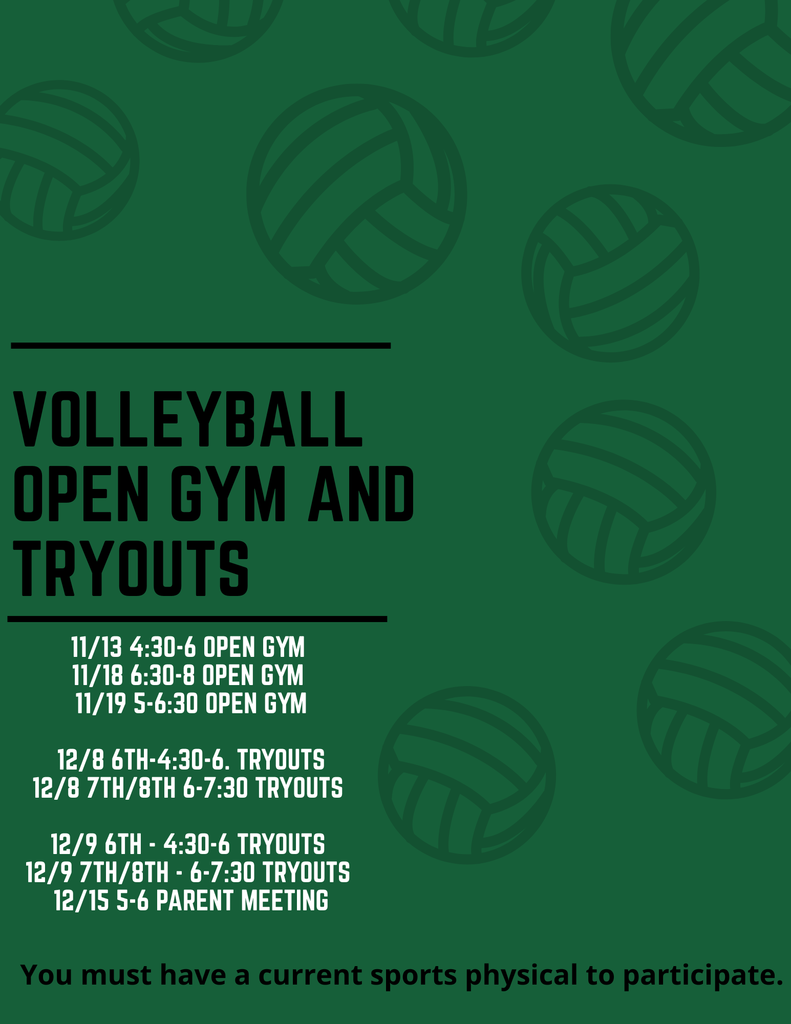 volleyball info