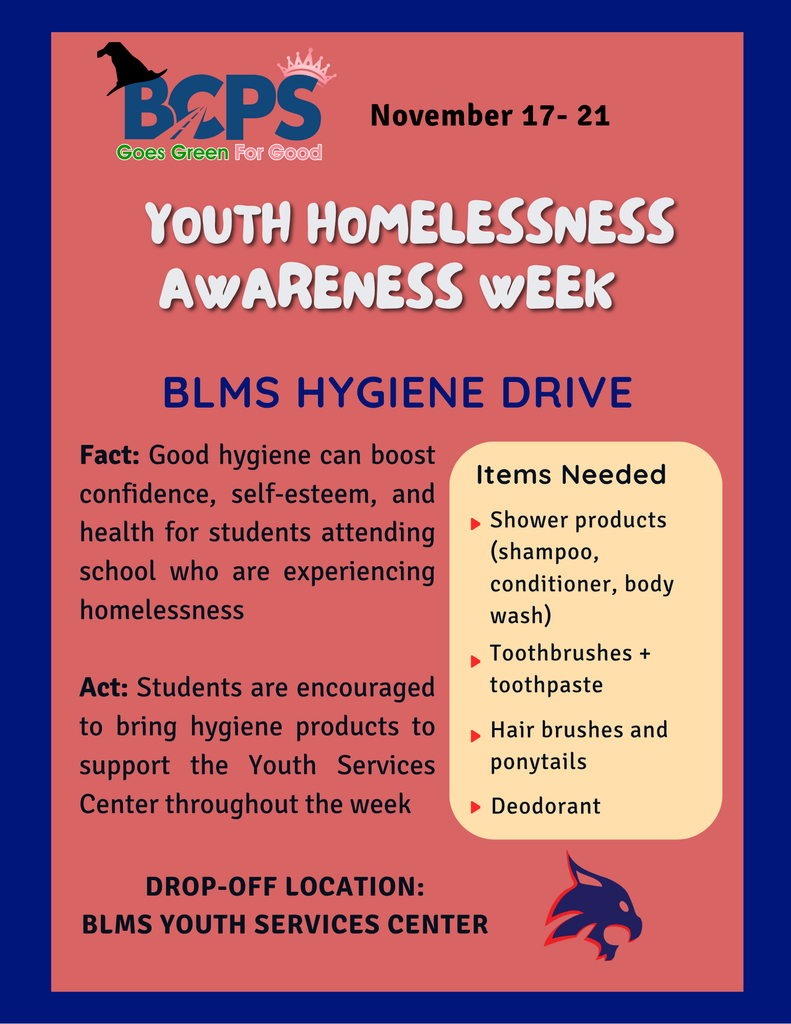 BLMS Hygiene Drive Flyer 