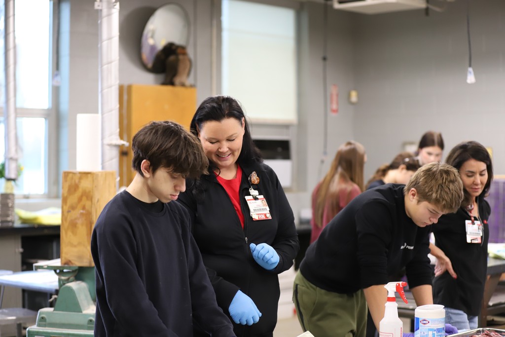 Dissection in Action