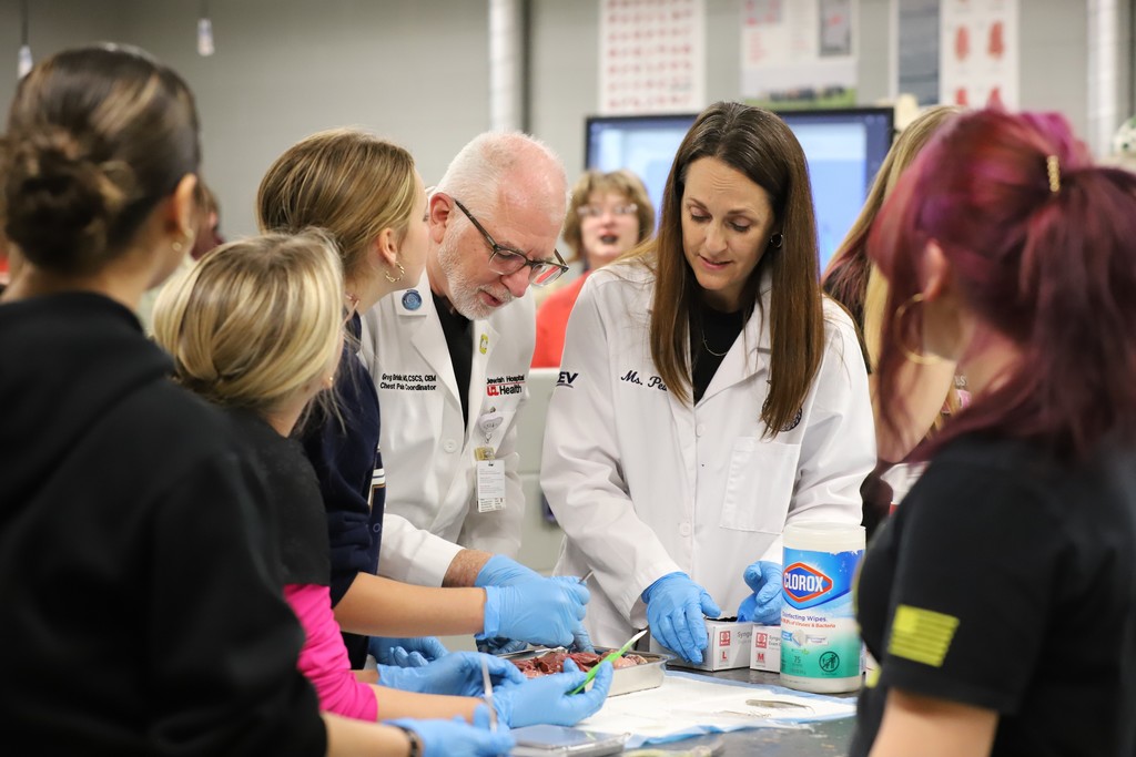 Dissection in Action