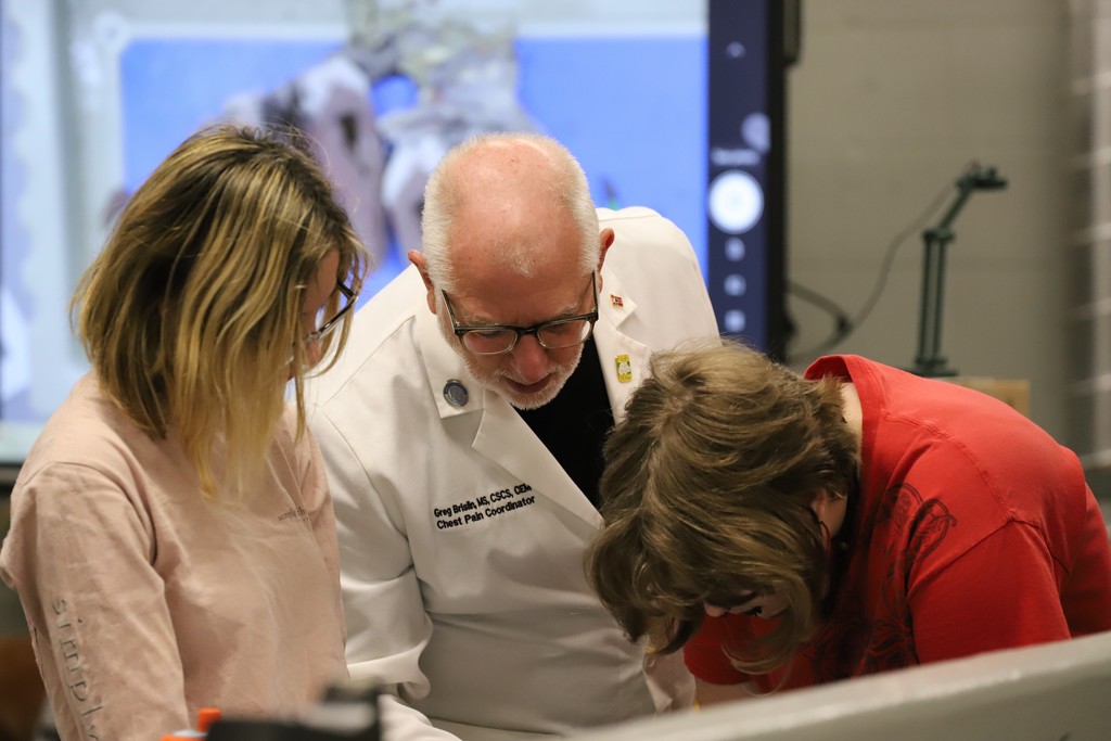 Dissection in Action