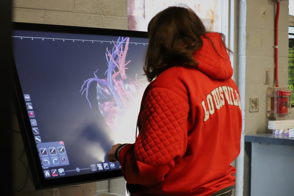 Virtual Heart Simulation